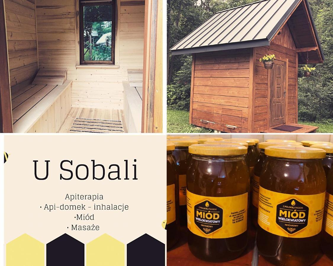 Willa U Sobali Groń Zewnętrze zdjęcie